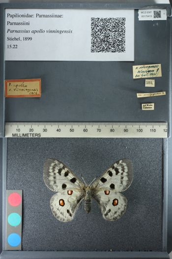Media type: image;   Entomology 175413
